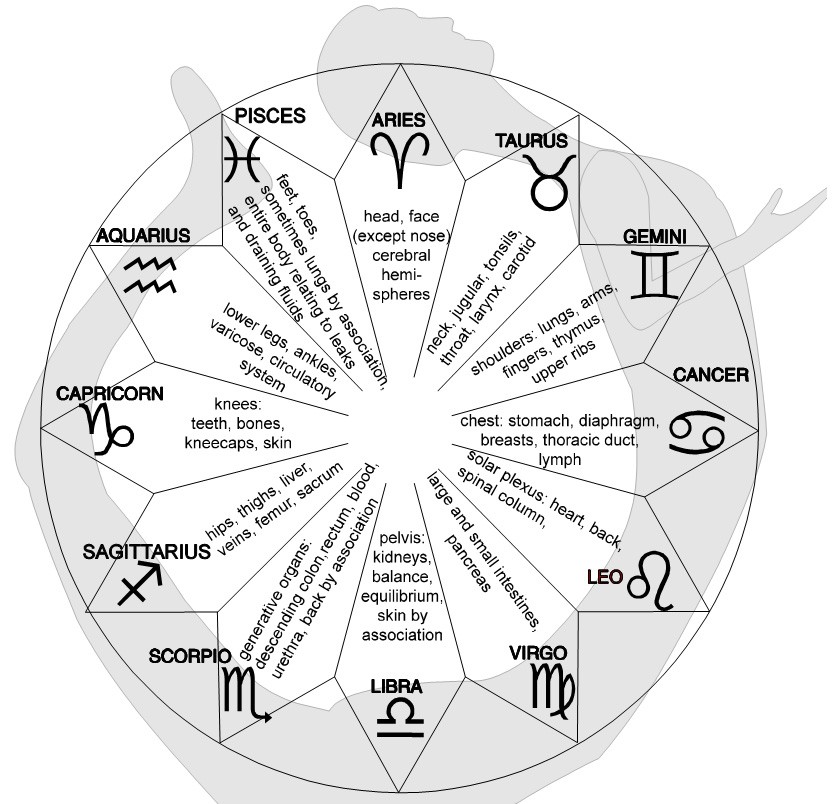 body parts in astrology